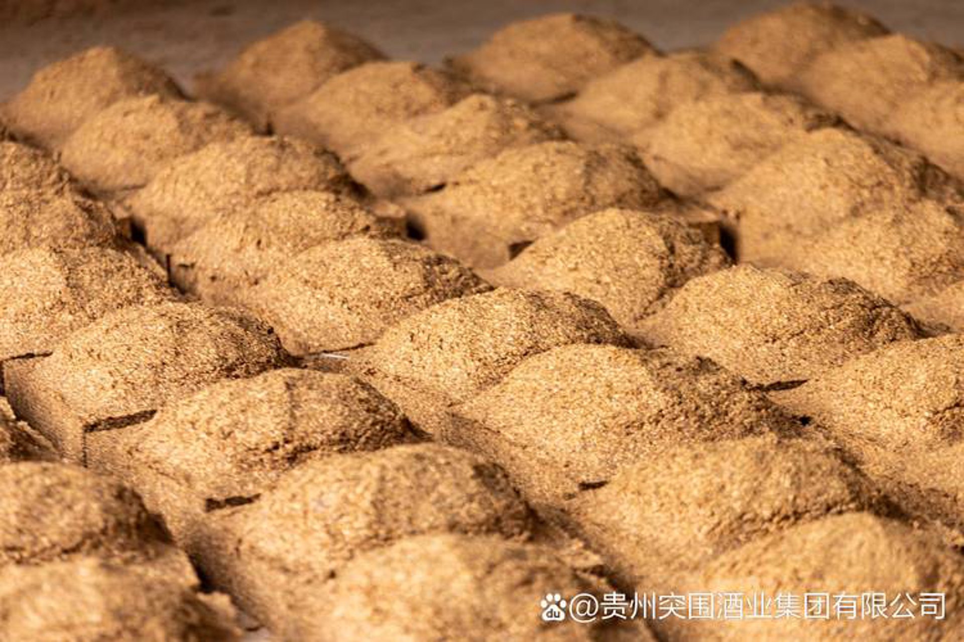 纯粮酿造:一场回归自然的美食之旅